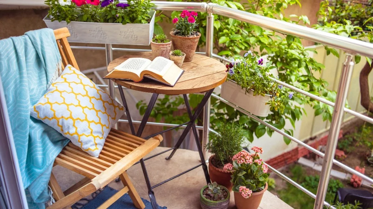 Ideale Trockenheitspflanzen für städtische Balkone und Vorgärten: Schönheit ohne großen Pflegeaufwand