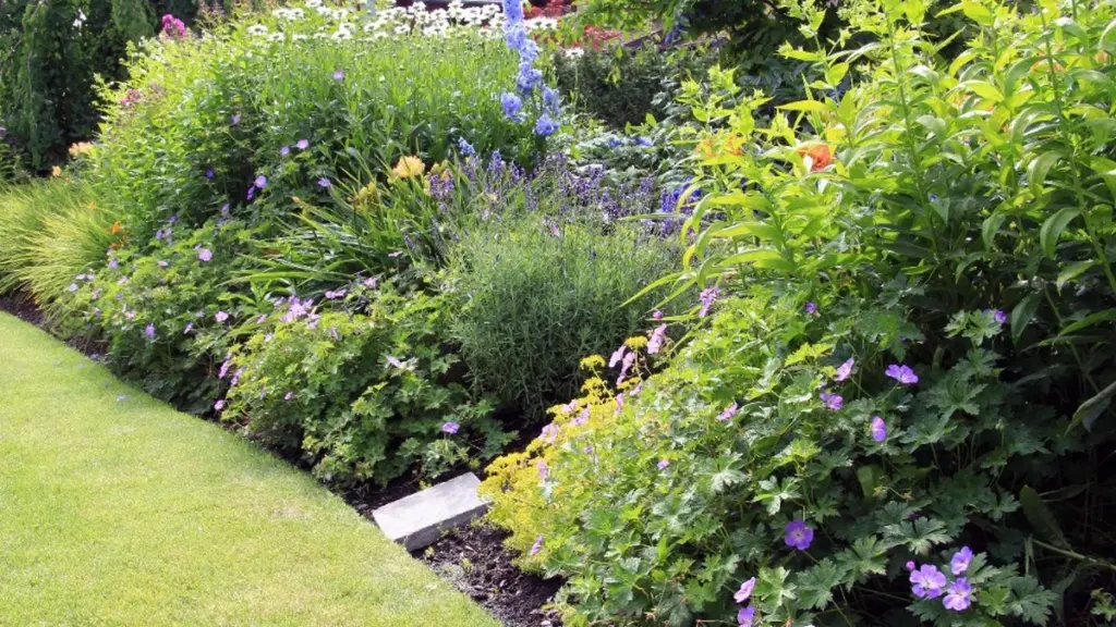 Das größte Detail im Garten macht oft den Unterschied. Saubere Rasenkanten verändern den Gesamteindruck